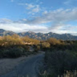 Meet your Posher, Sophia